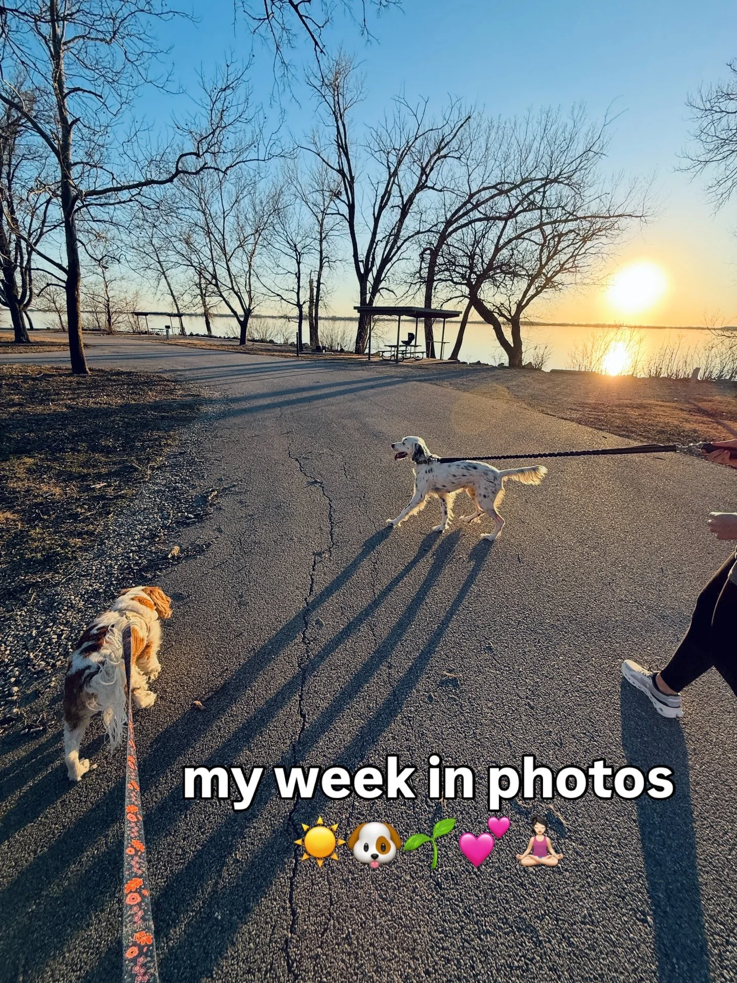 My week in photos ☀️🐶🌱💕🧘🏻&zwj;♀️ including all of my outfits of the week! Everything is linked in my ltk 🫶🏻 or comment OUTFITS &amp; I&rsquo;ll send the links directly to ya!!