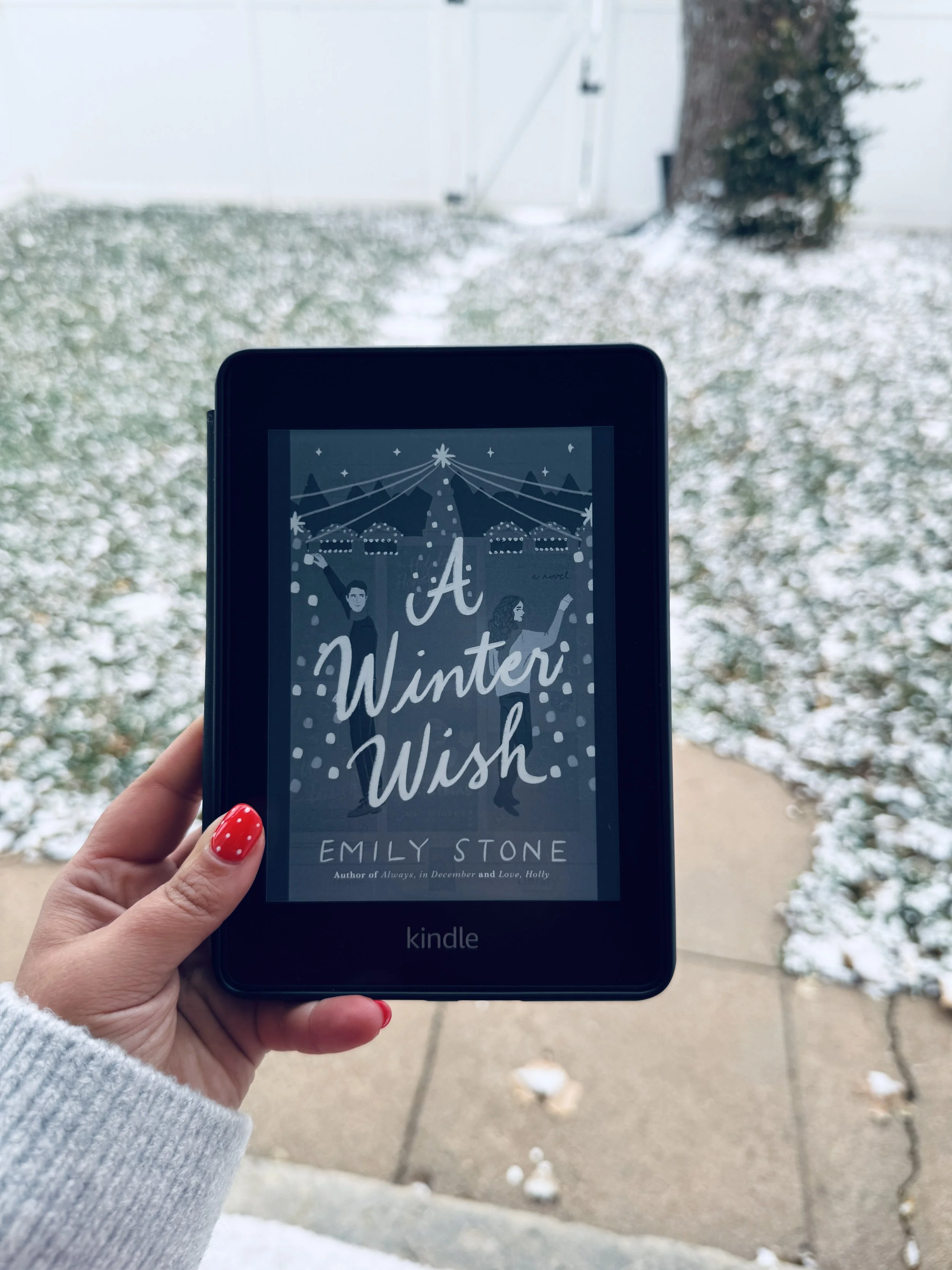 a winter wish - emily stone.JPG