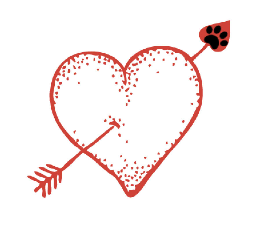 Baci Loves Houstie for the pooch that cares about style