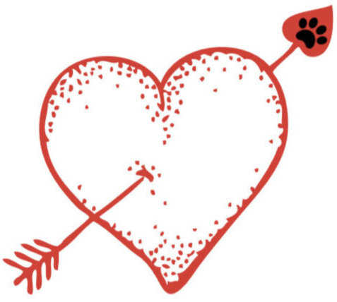 for the pooch that cares about style