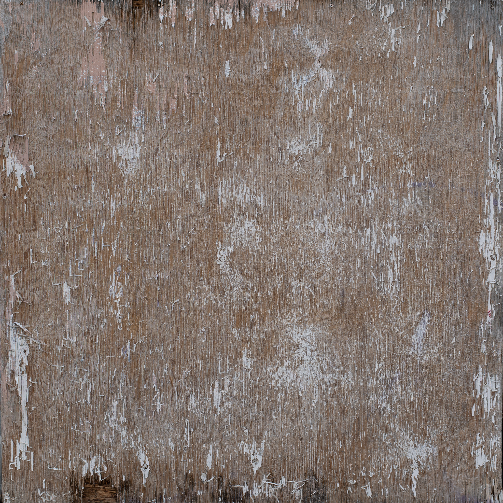 DSC_4575.png