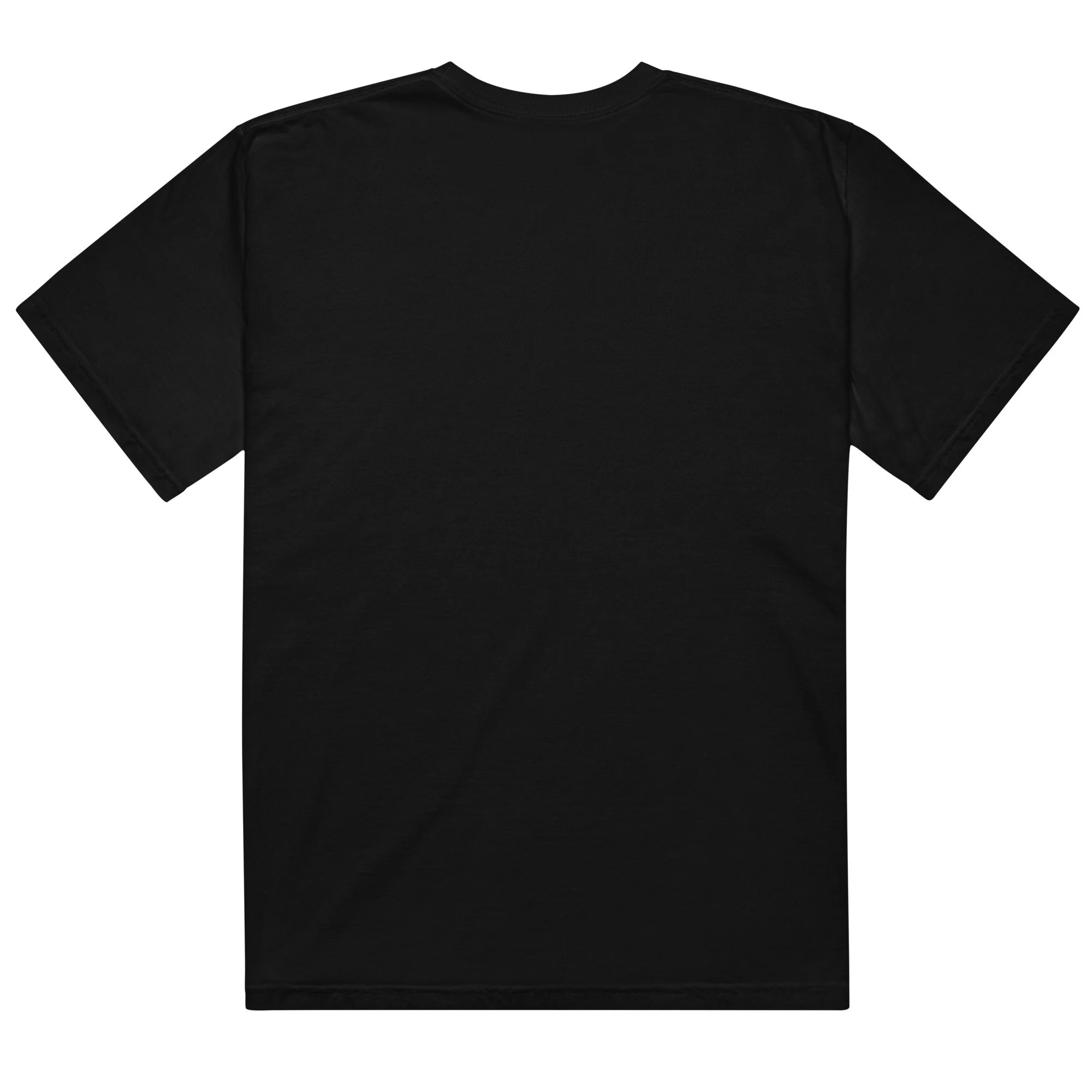 mens-garment-dyed-heavyweight-t-shirt-black-back-6421f5403cb83.jpg