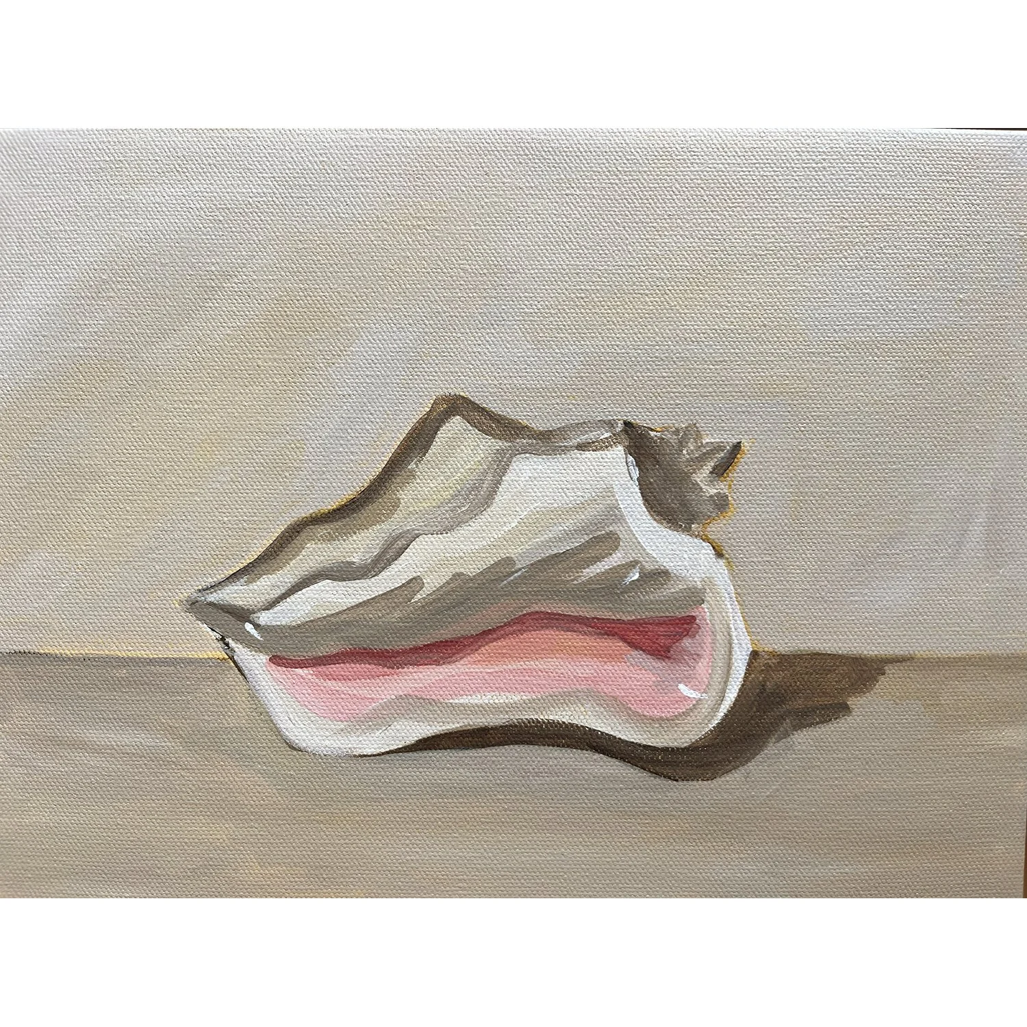 Conch Study