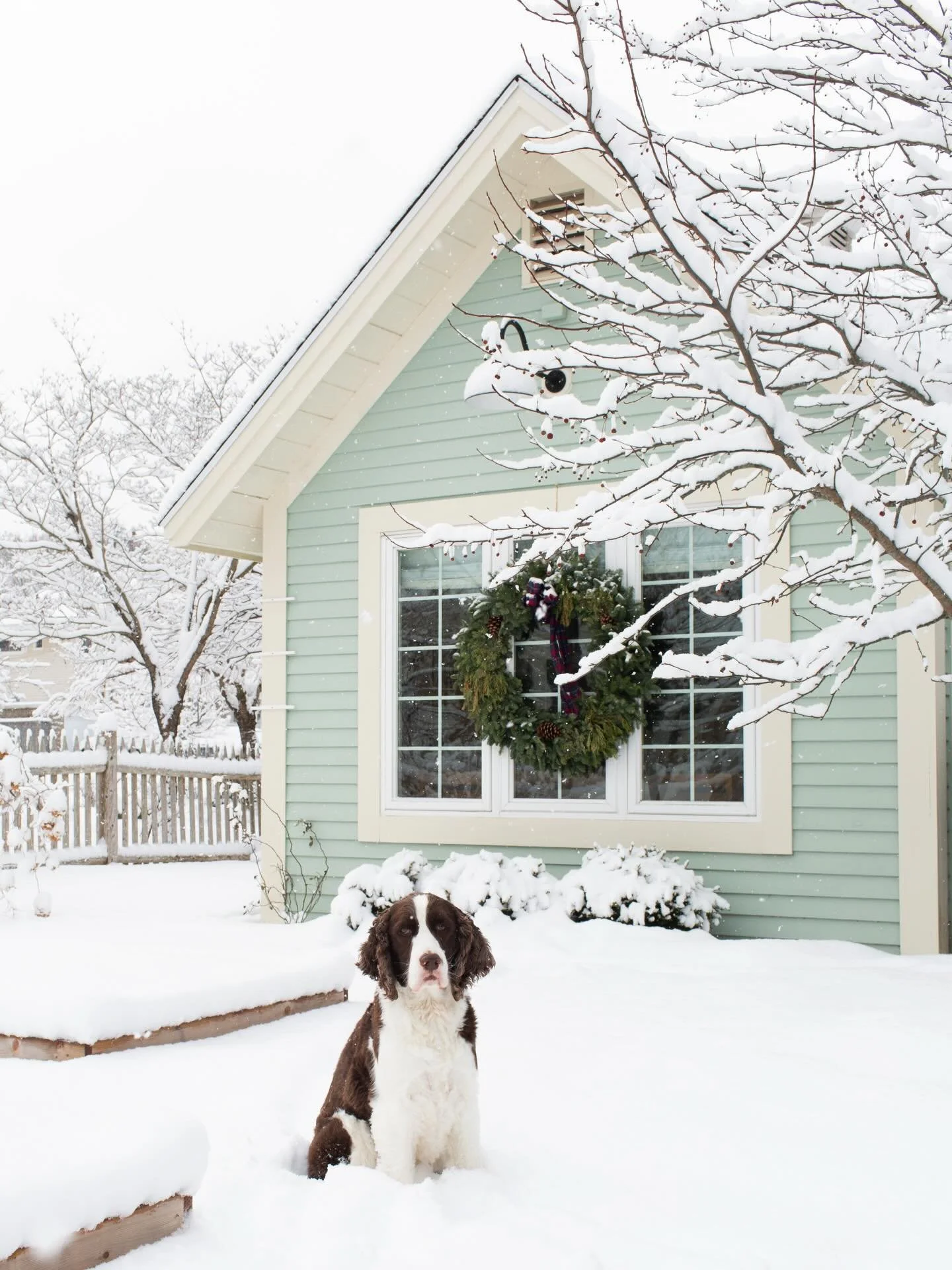 Snow day with this one! ❄️