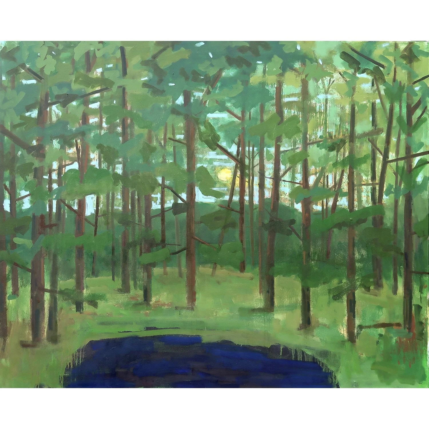 Pond in the Woods