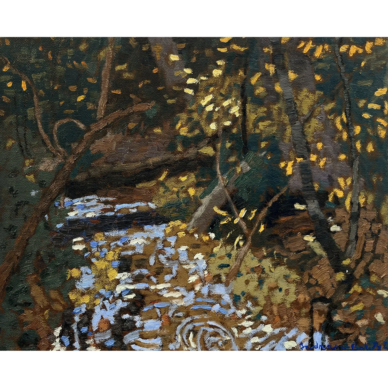 Wetland Creek