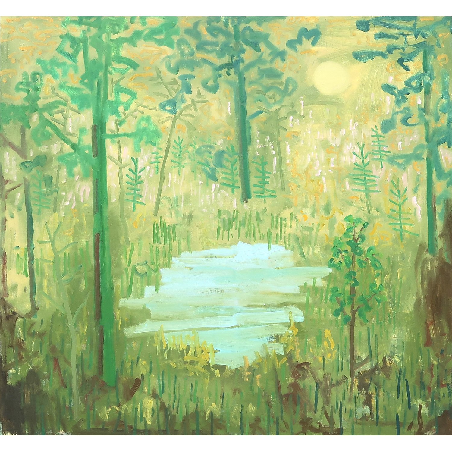 The Secret Pond