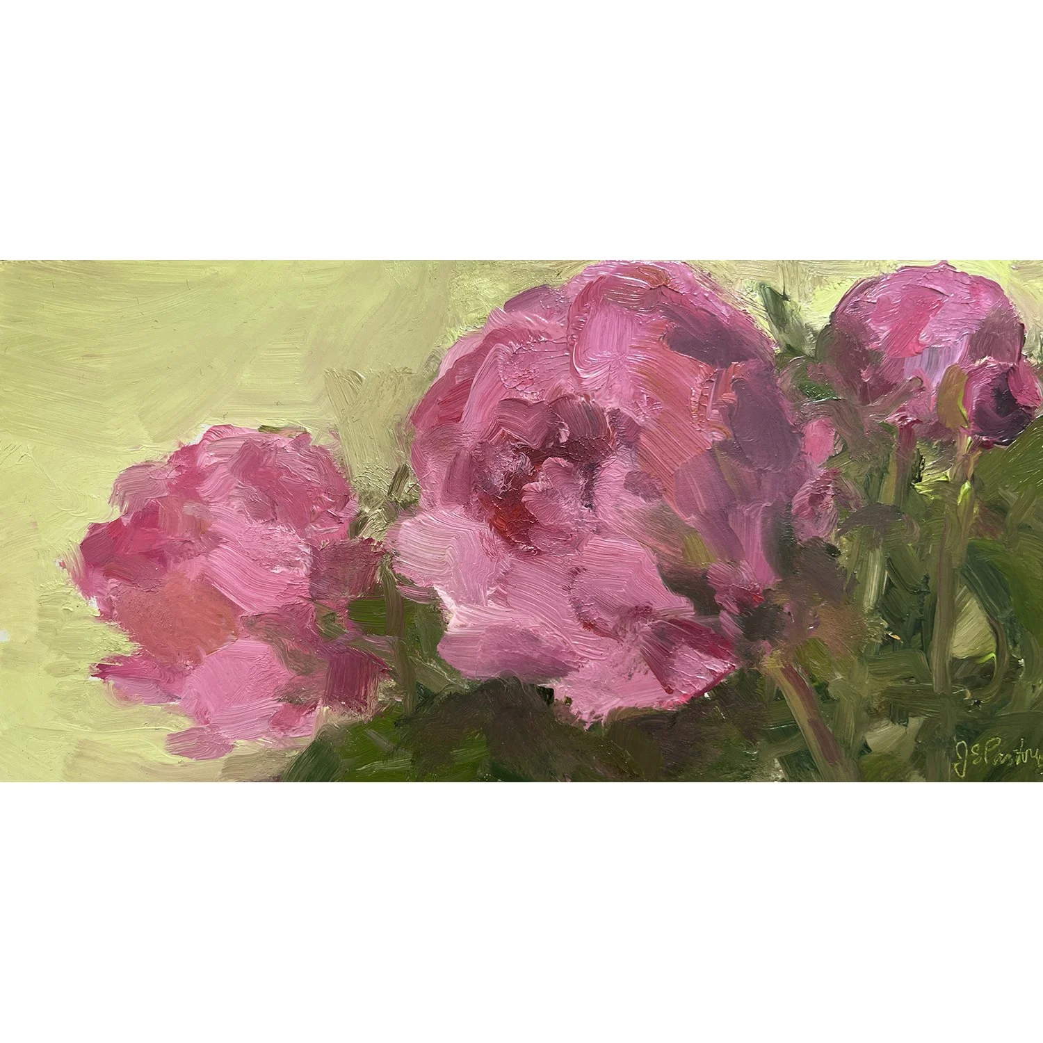 Pink Peonies