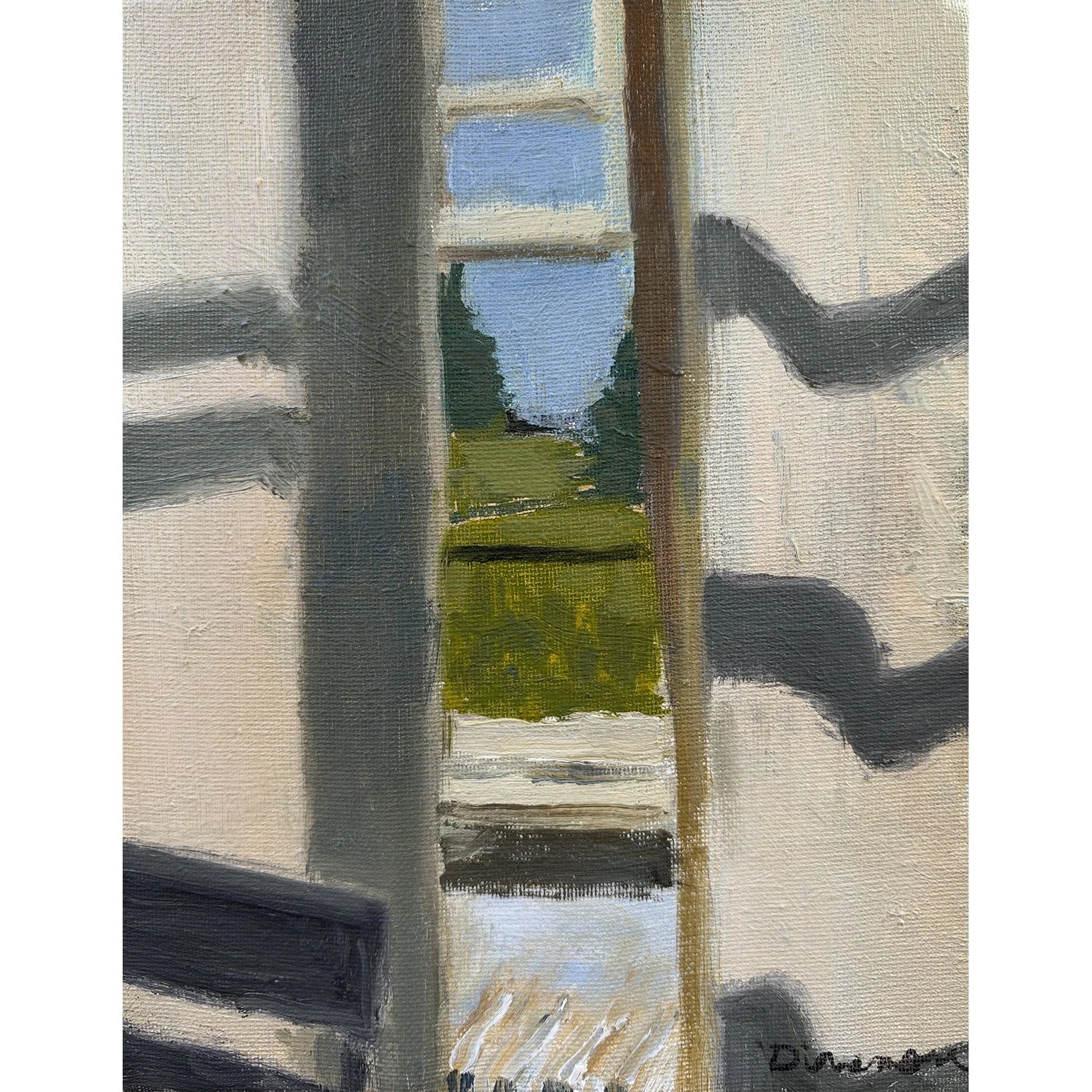Glimpse Through Curtain
