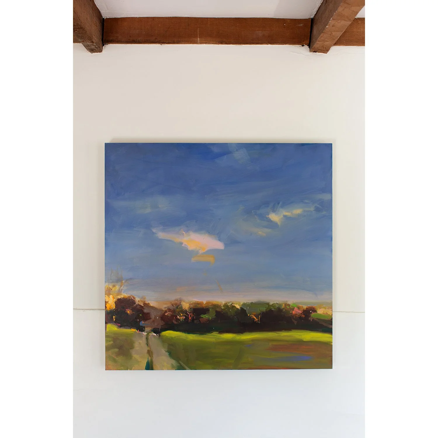 Julia Jensen Artist Vermont.jpg