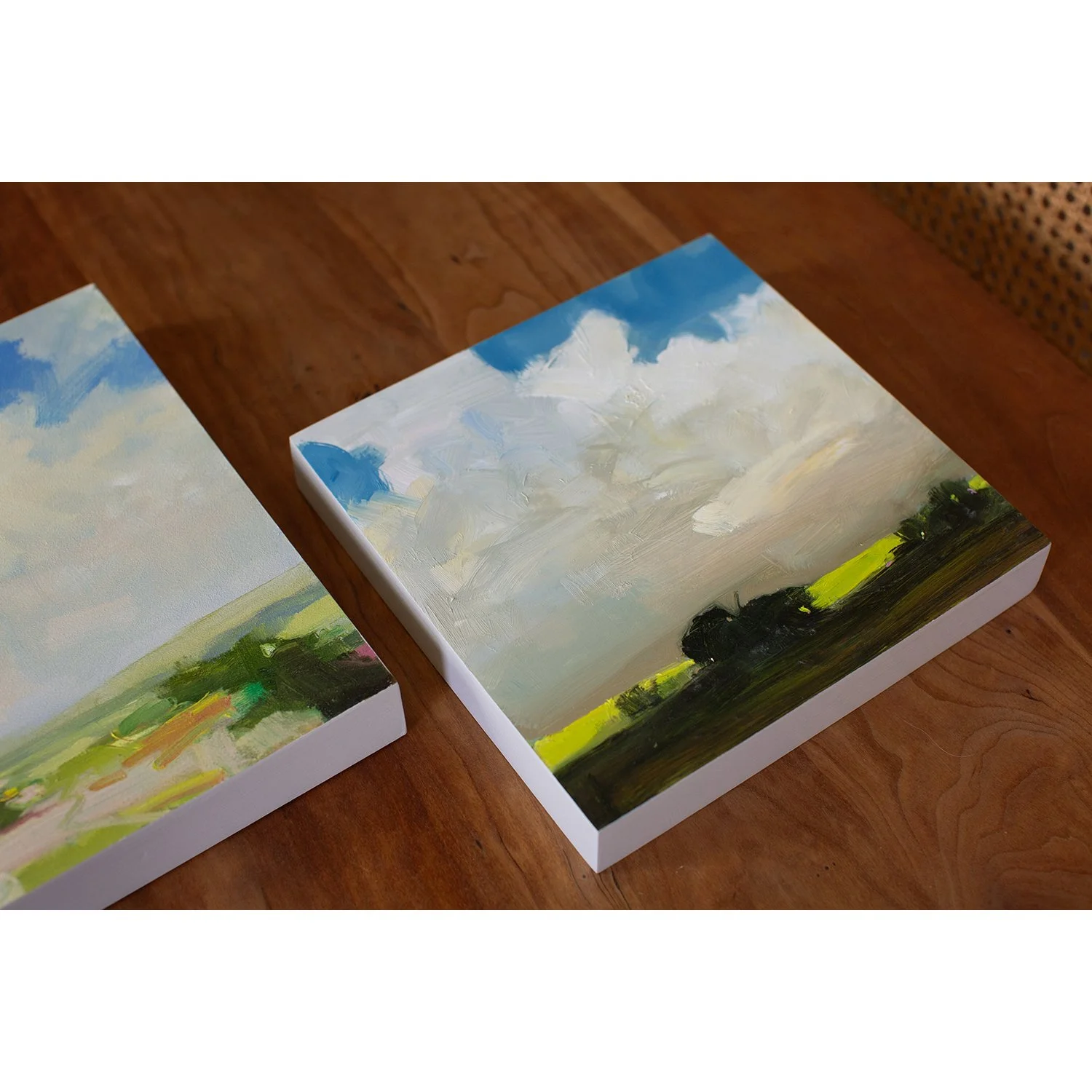 Julia Jensen Art Vermont.jpg