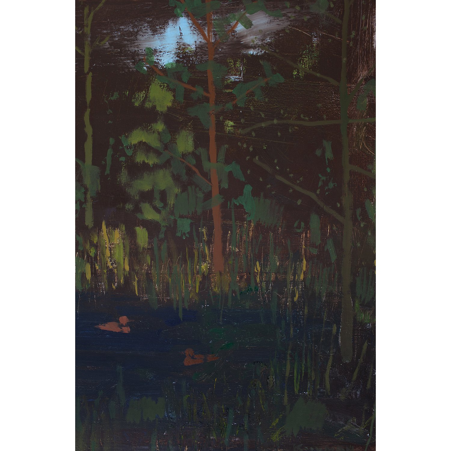 Landscapes by Richard Kooyman.jpg