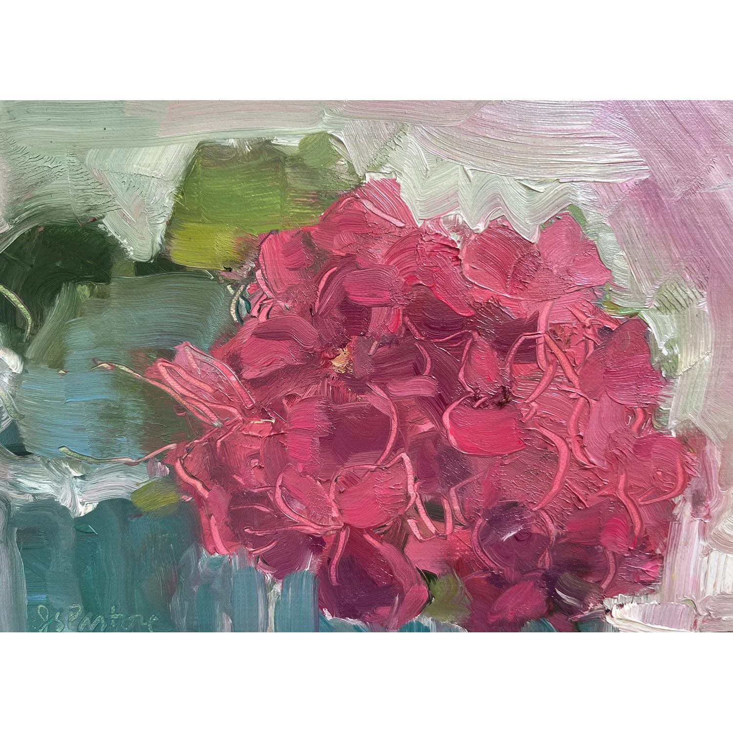 Pink Hydrangea
