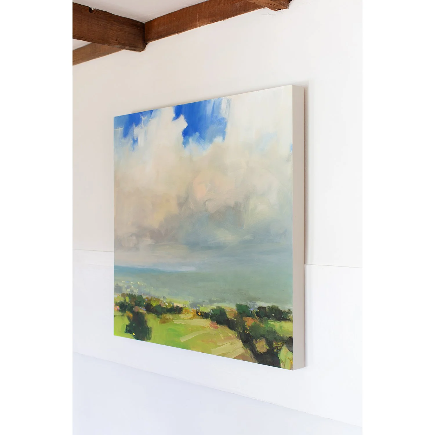 Julia Jensen Vermont Artist.jpg