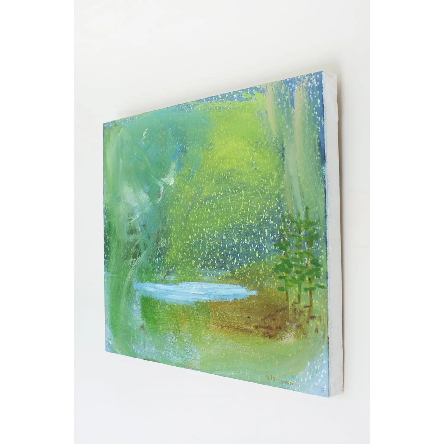 Richard Kooyman Landscape Artist.jpg