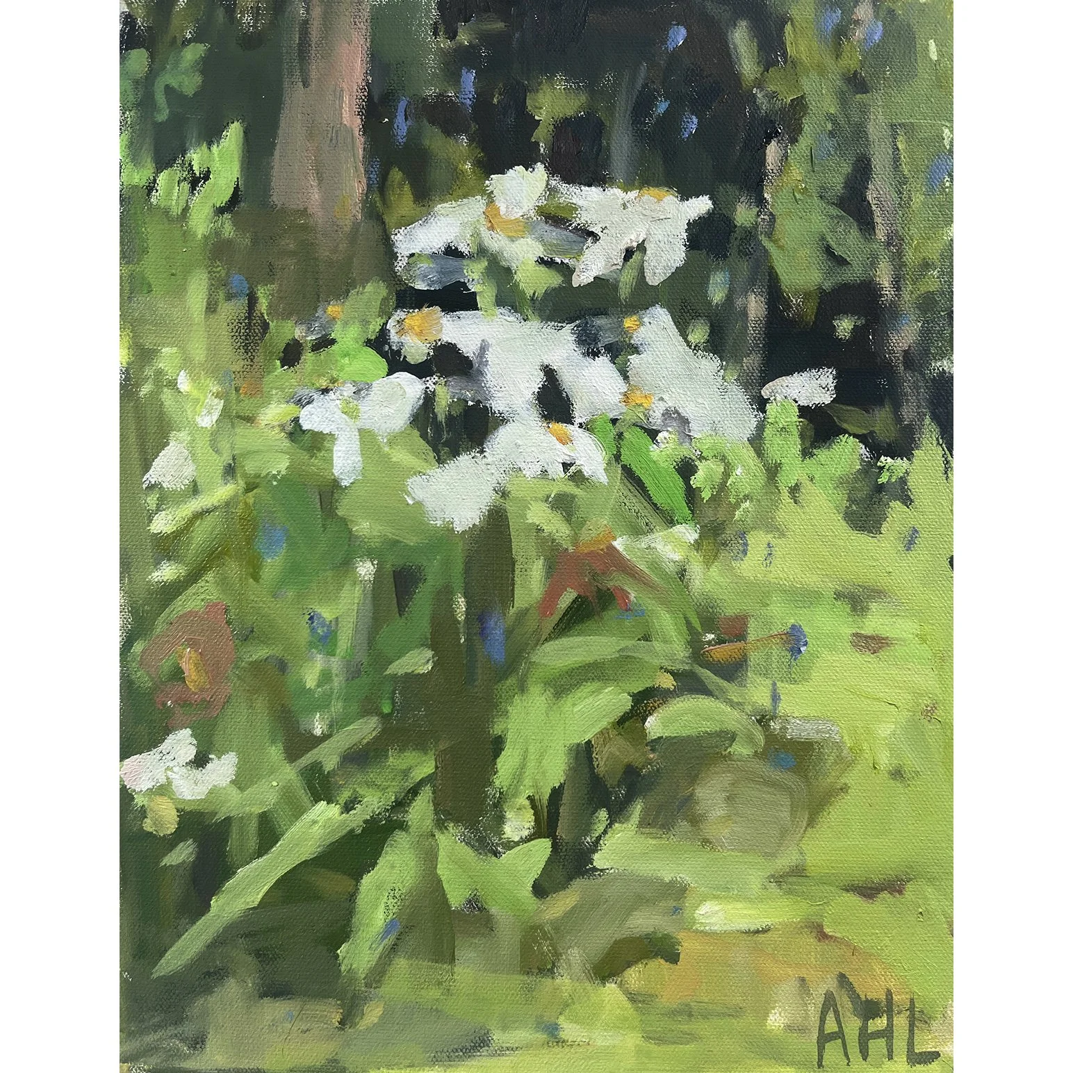 Daisies in the Garden by Ariane Luckey.jpg