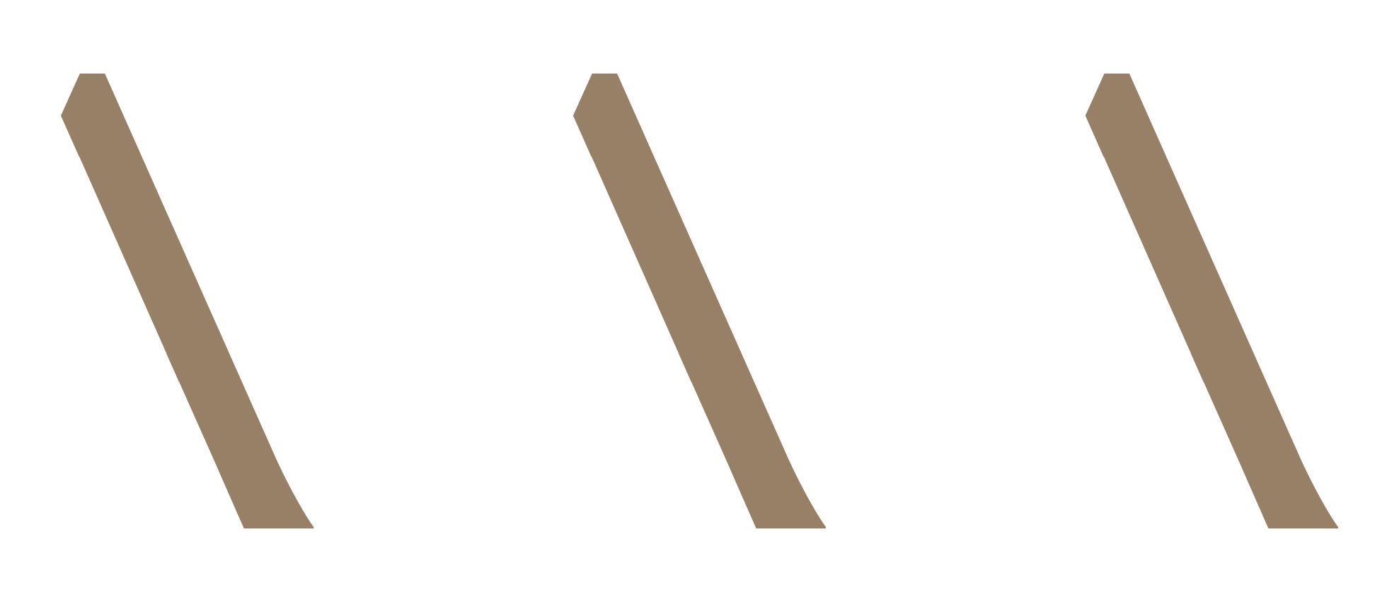 Three brown graphics as separator.