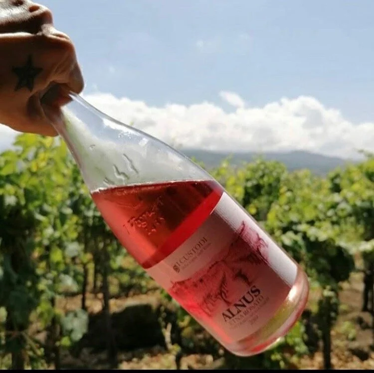 @icustodidellevignedelletna