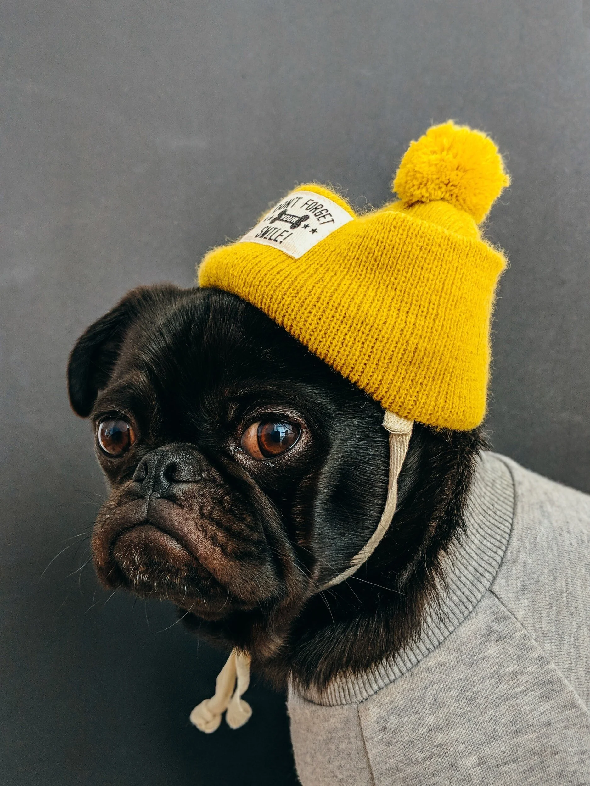 unsplash-image-AQRp2NH-O8k.jpg