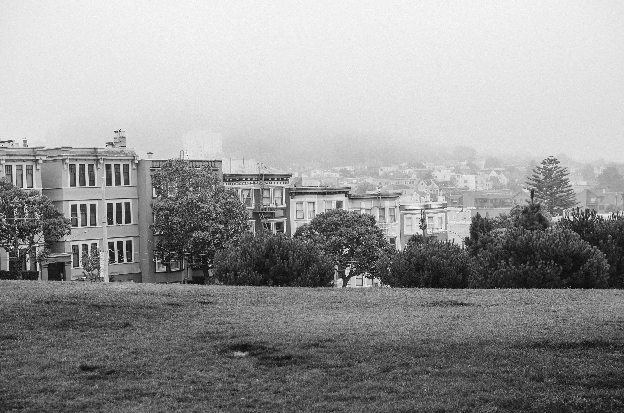 203.jpg