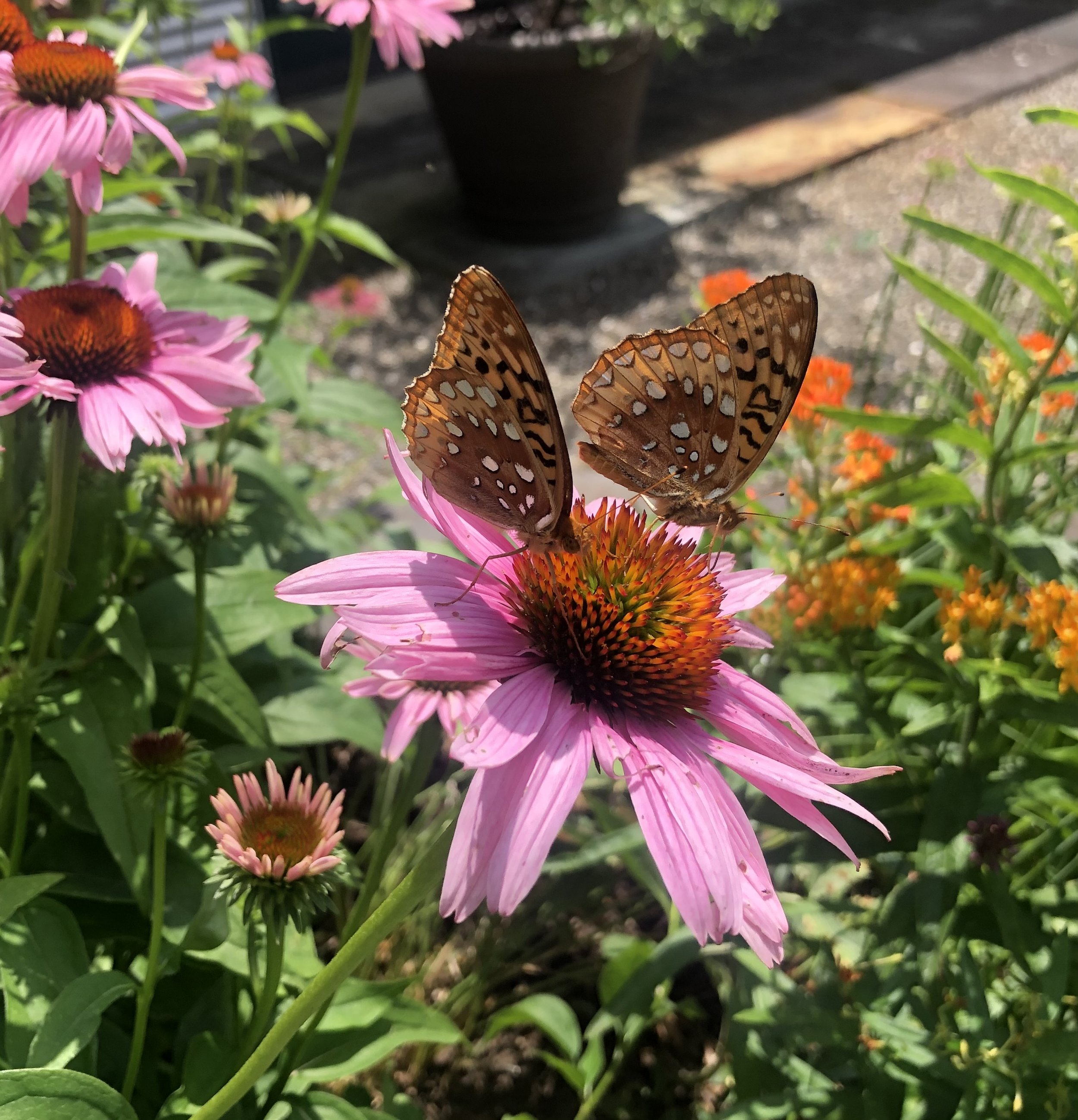 Rhode Island Garden Symposium