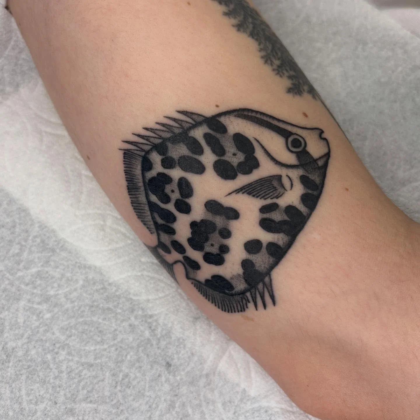 Healed! Leopard print fishy from my flash ♧ for appointments email ameliarosetattoo@gmail ♧