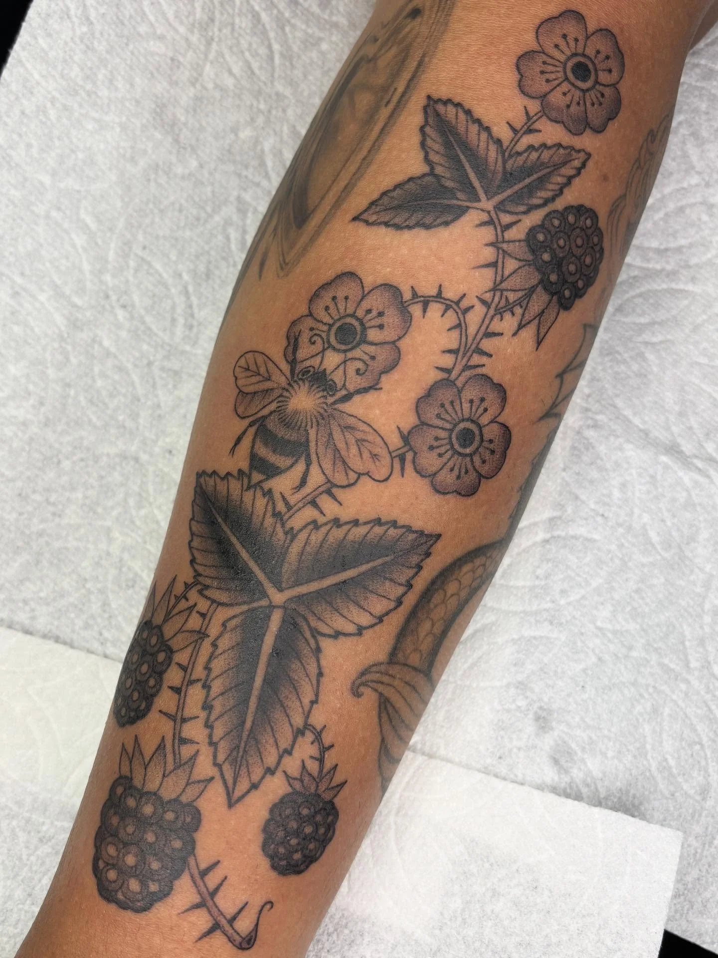 Blackberries drawn to fit ♧ for appointments email ameliarosetattoo@gmail ♧