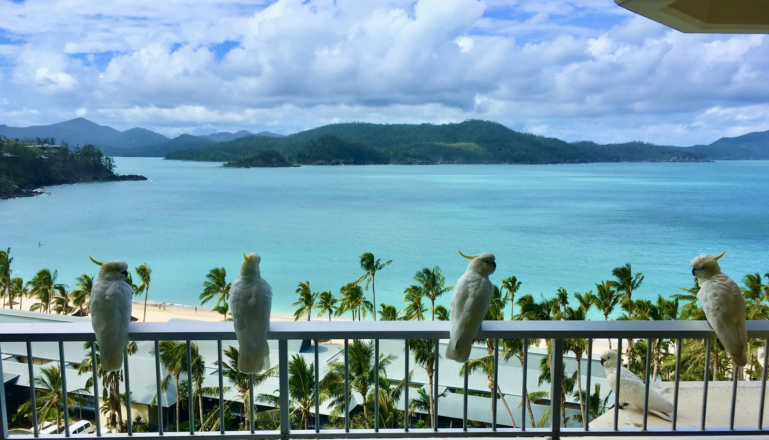 HAMILTON ISLAND