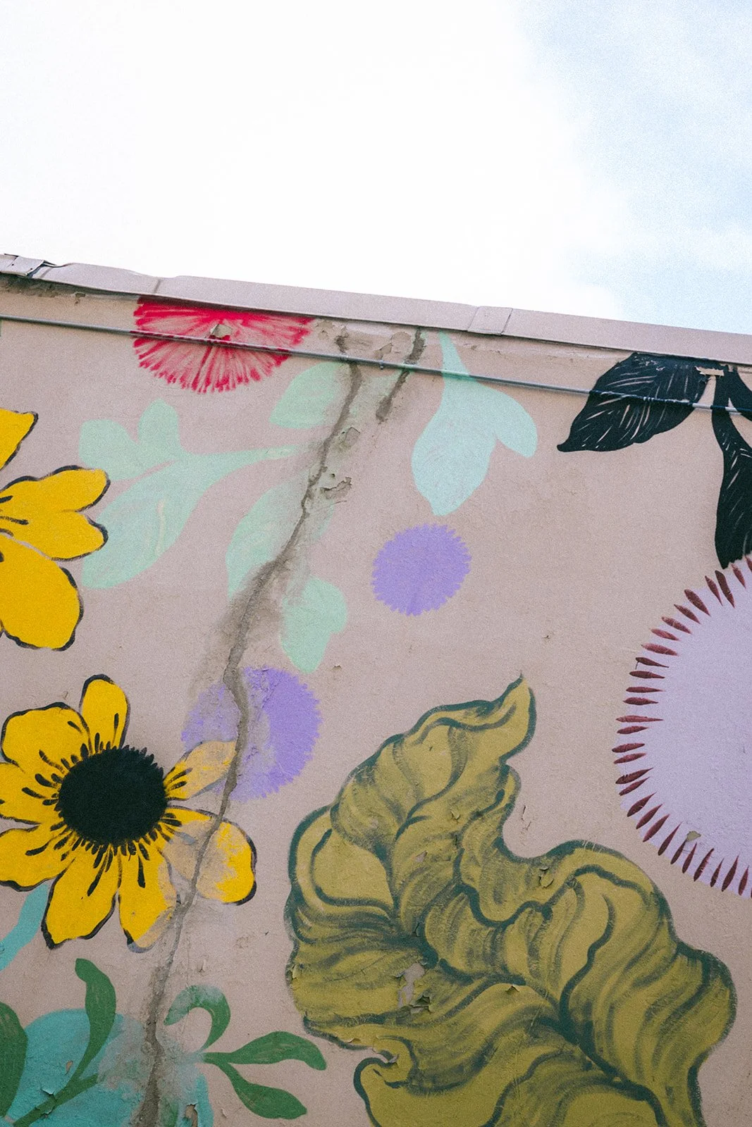 6W3A0164_websize (1).jpg