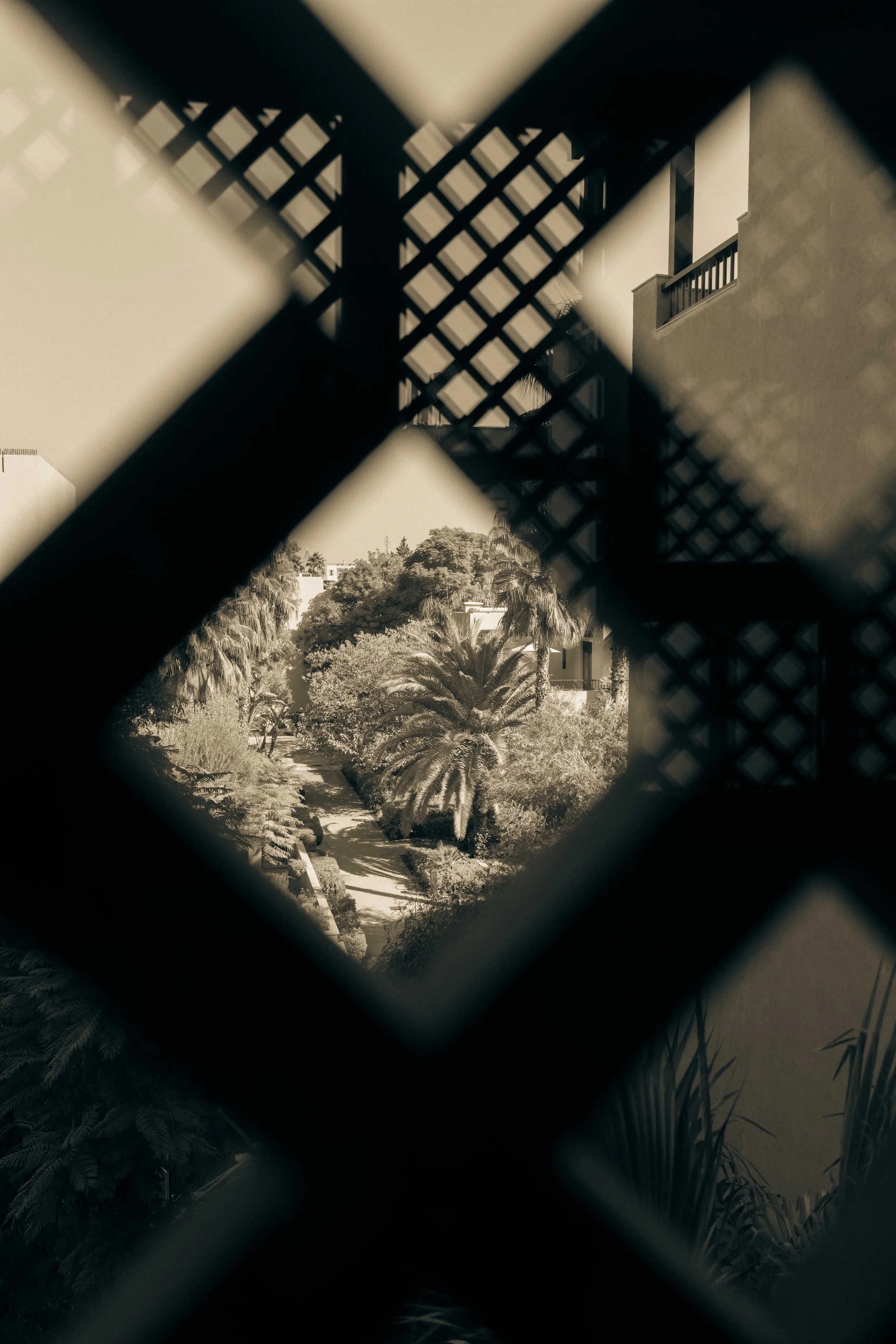 LCPhotography-02326.jpg