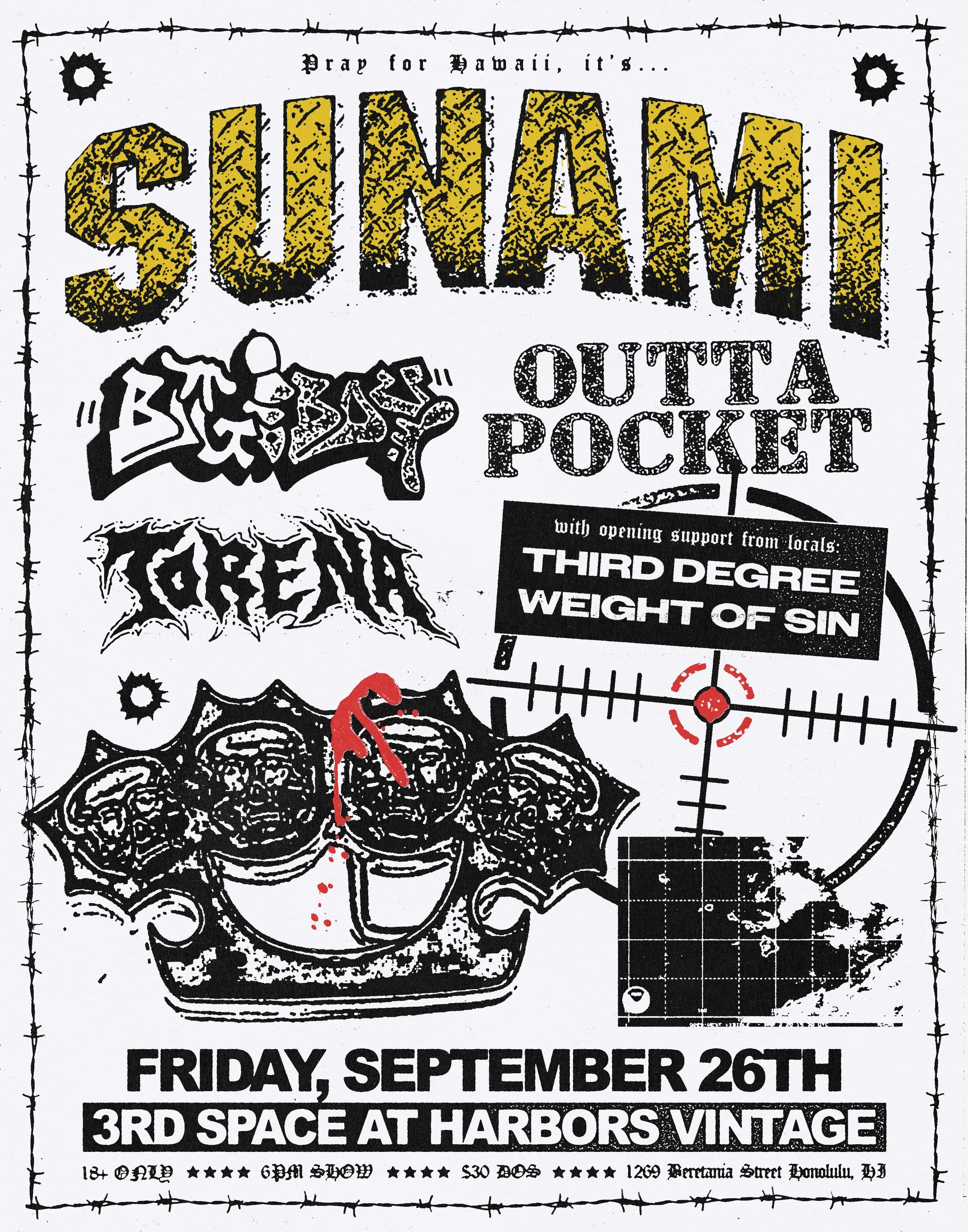 Sunami_Hawaii copy.jpg