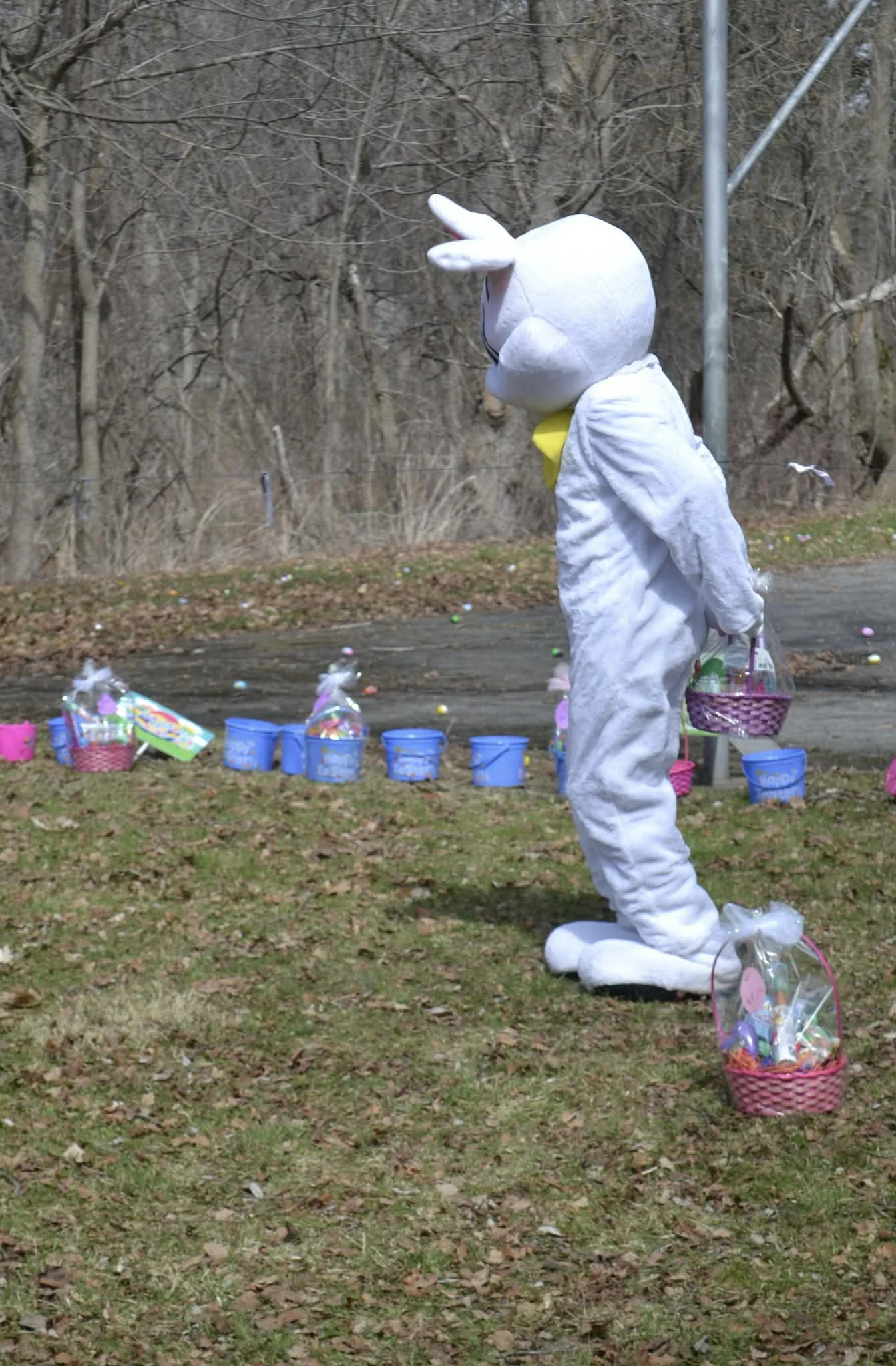 Stop!  Basket thief!  