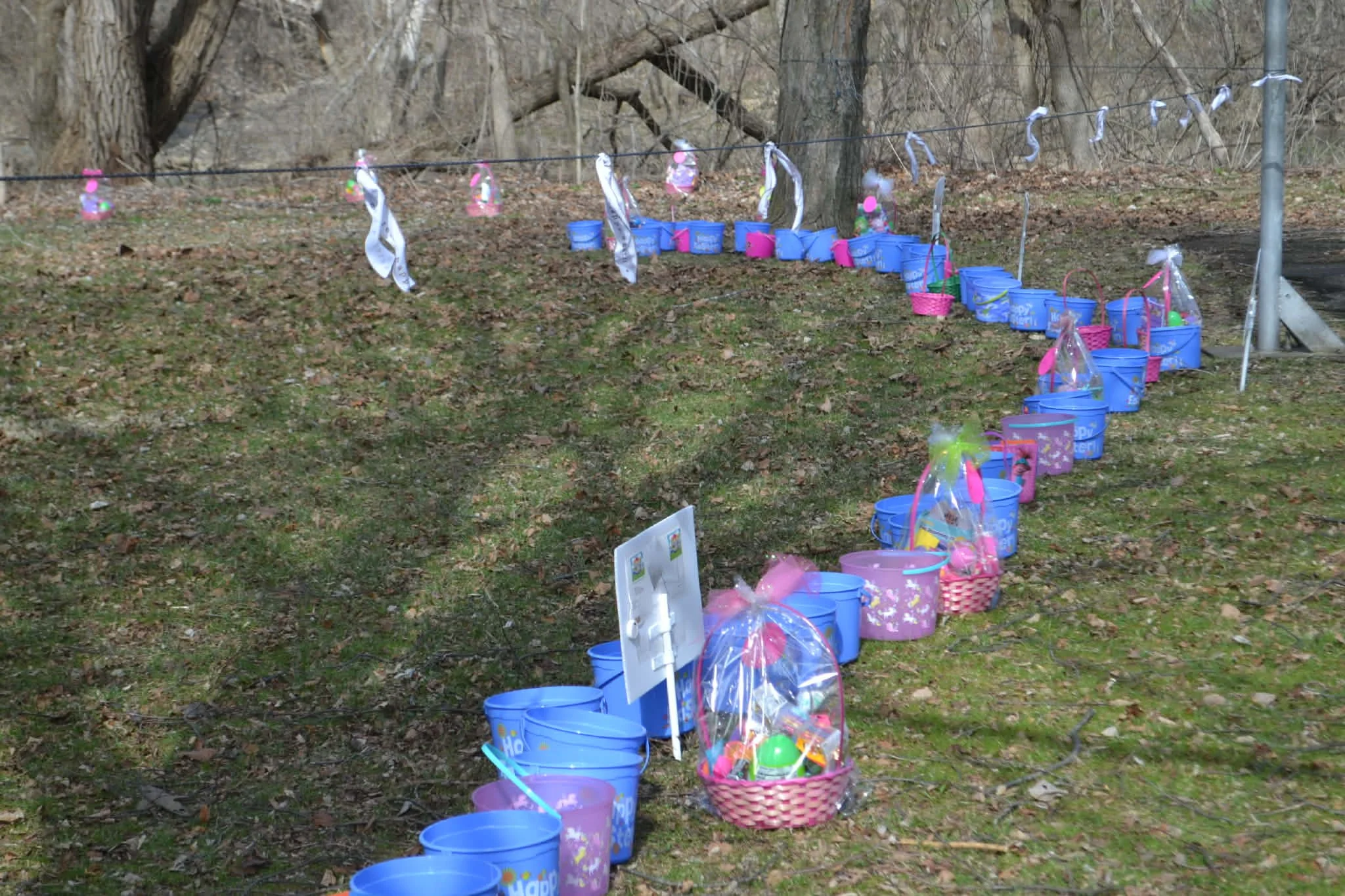Plenty of buckets to collect Eggs!