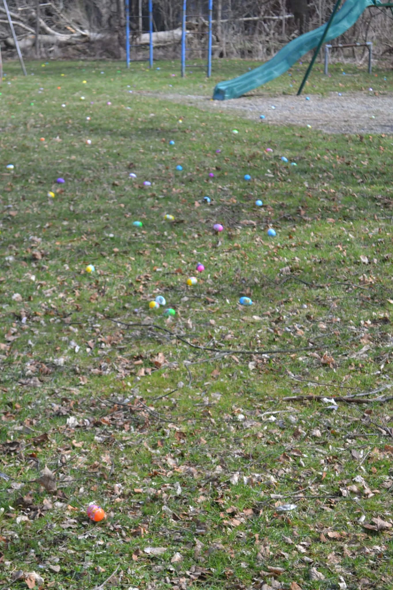 Oh!! Look at all the eggs!