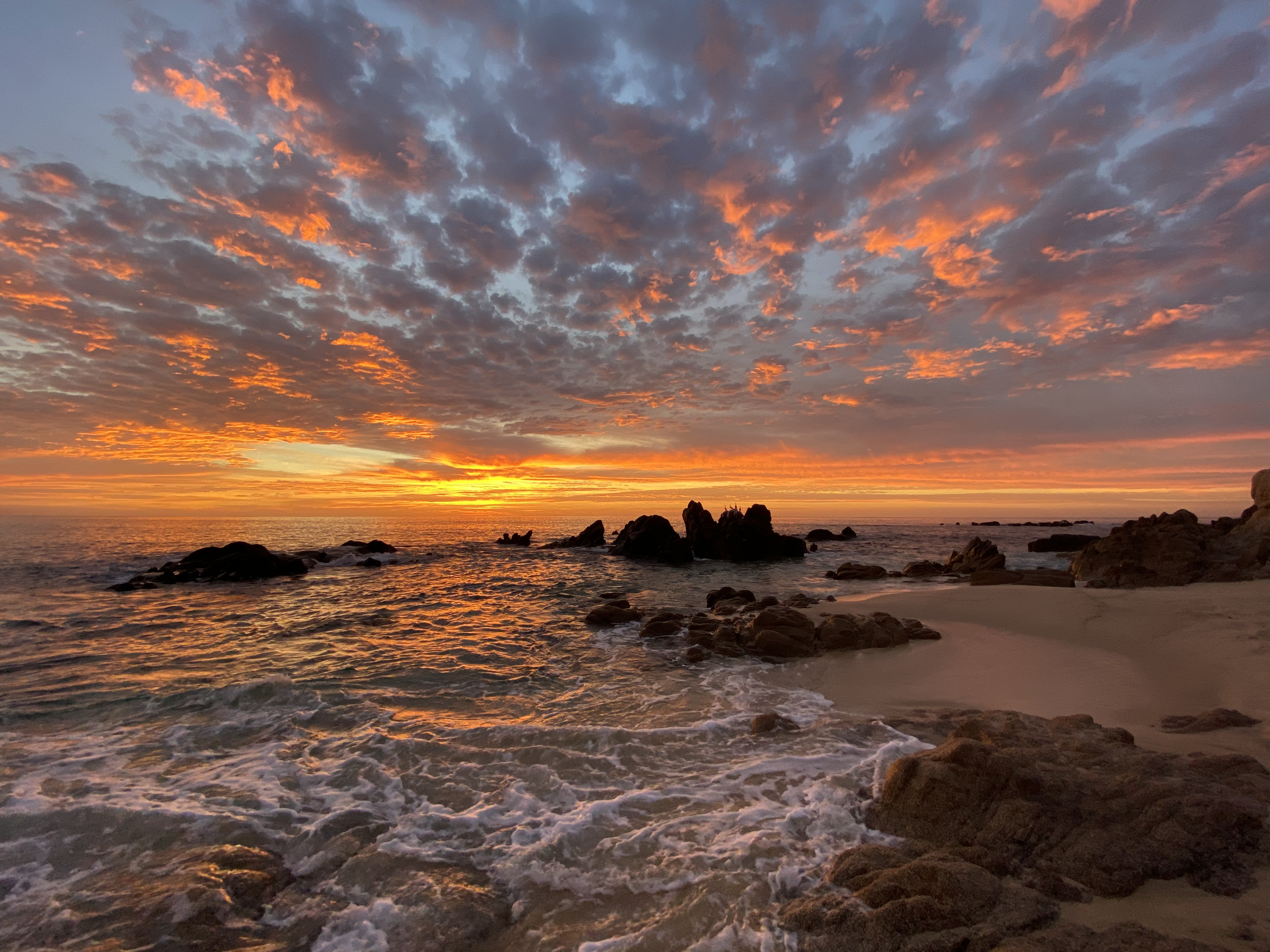 Half-Day Therapeutic Yoga Retreat for Digestive Health & Chakra Balance