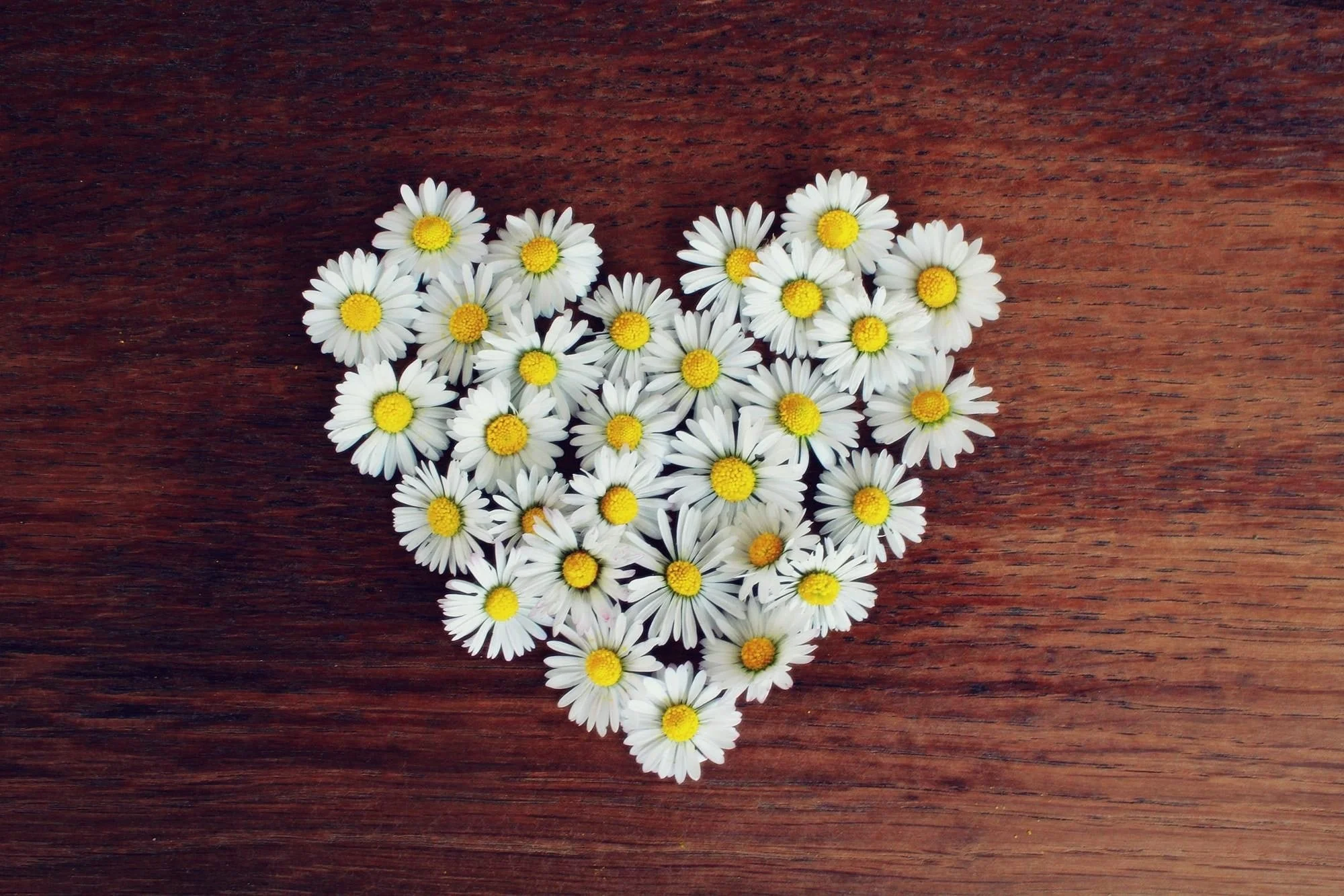 heart chakra pic.jpg