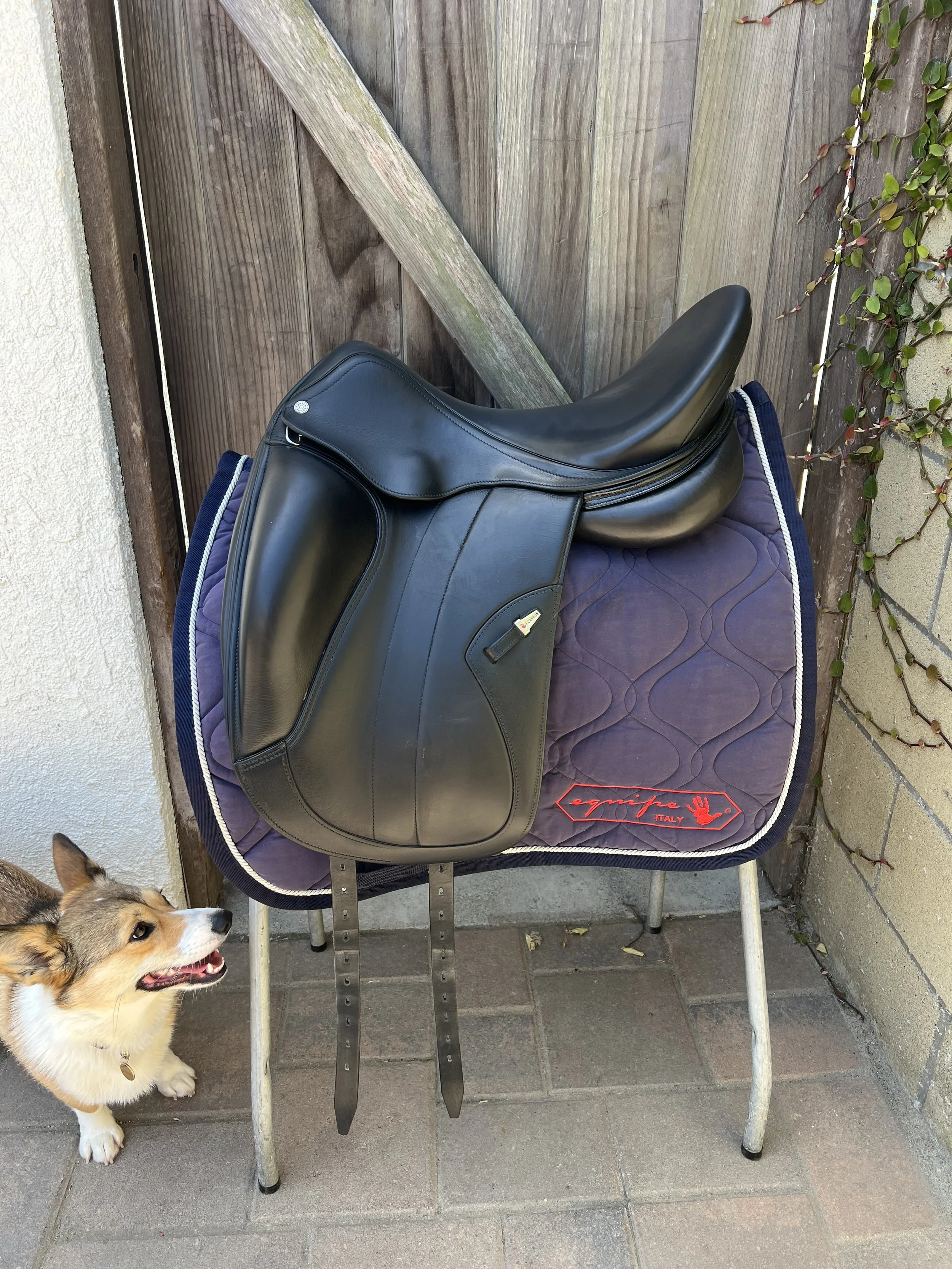 EQUIPE KALIFORNIA, 17.5N M +2.5. 2021 Model. Mild, normal wear on flaps, good condition. $4,600.