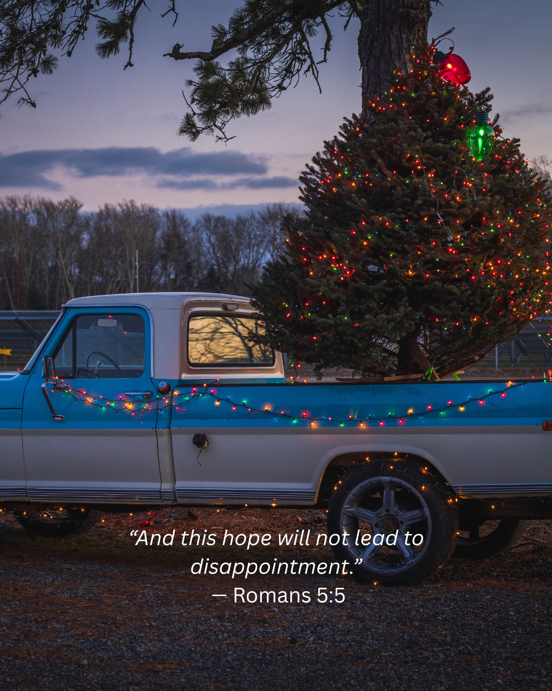 Hope When Expectations Disappoint