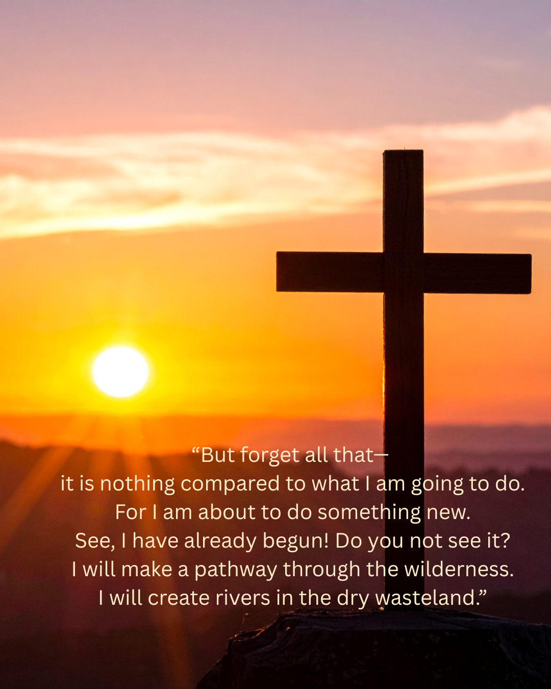 Letting Go of What Was