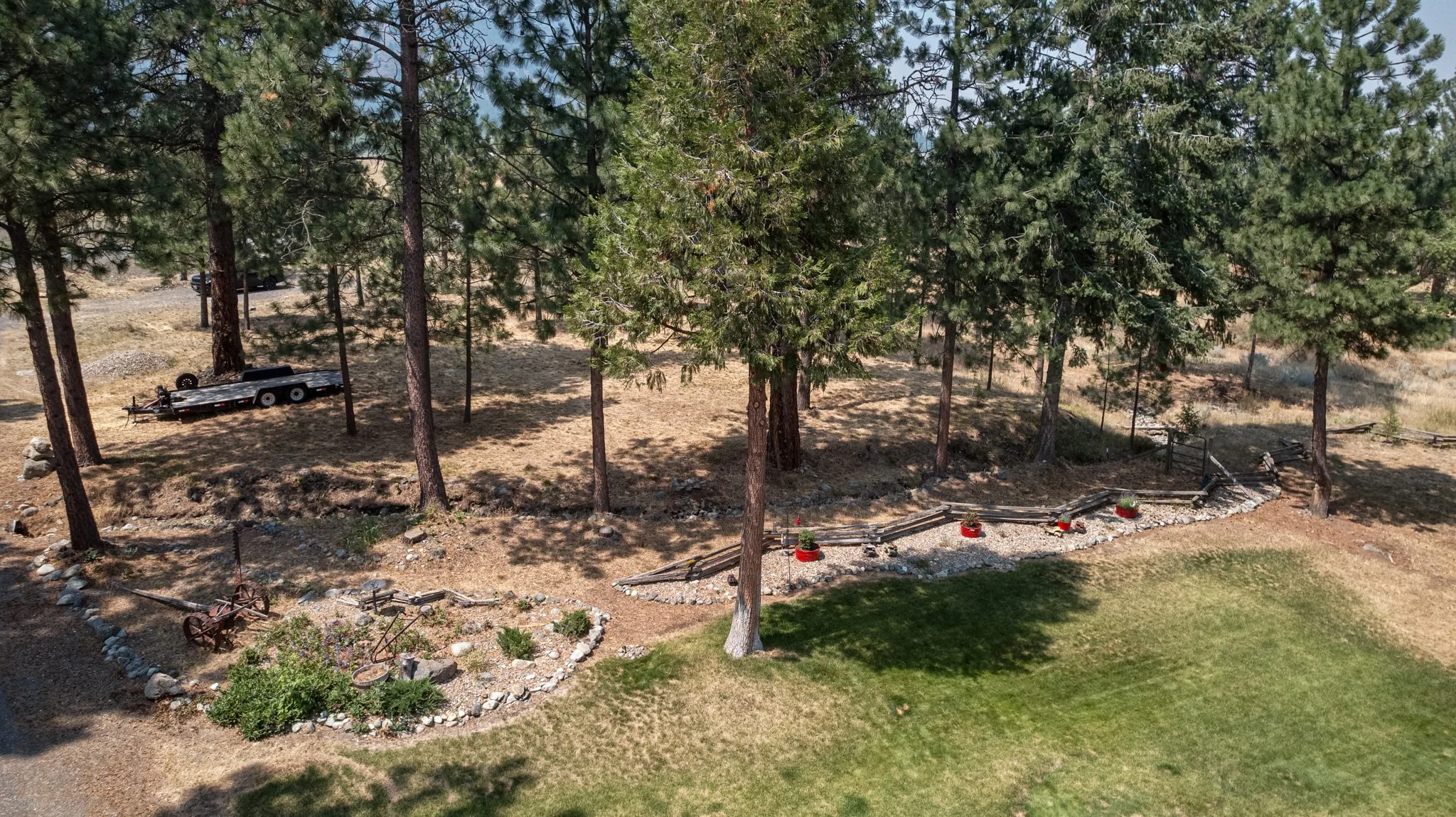 43c.jpg