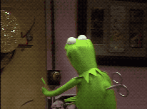 Kermit Walks Into Door.gif