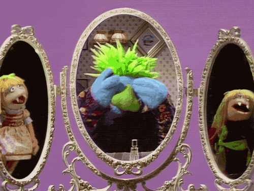 Which What Where Whom.gif