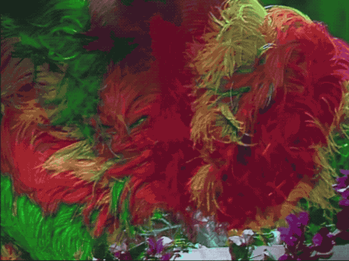 Elton John episode artwork