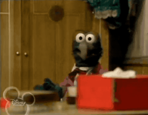 gonzo look at camera get a load of this guy head tilt.gif