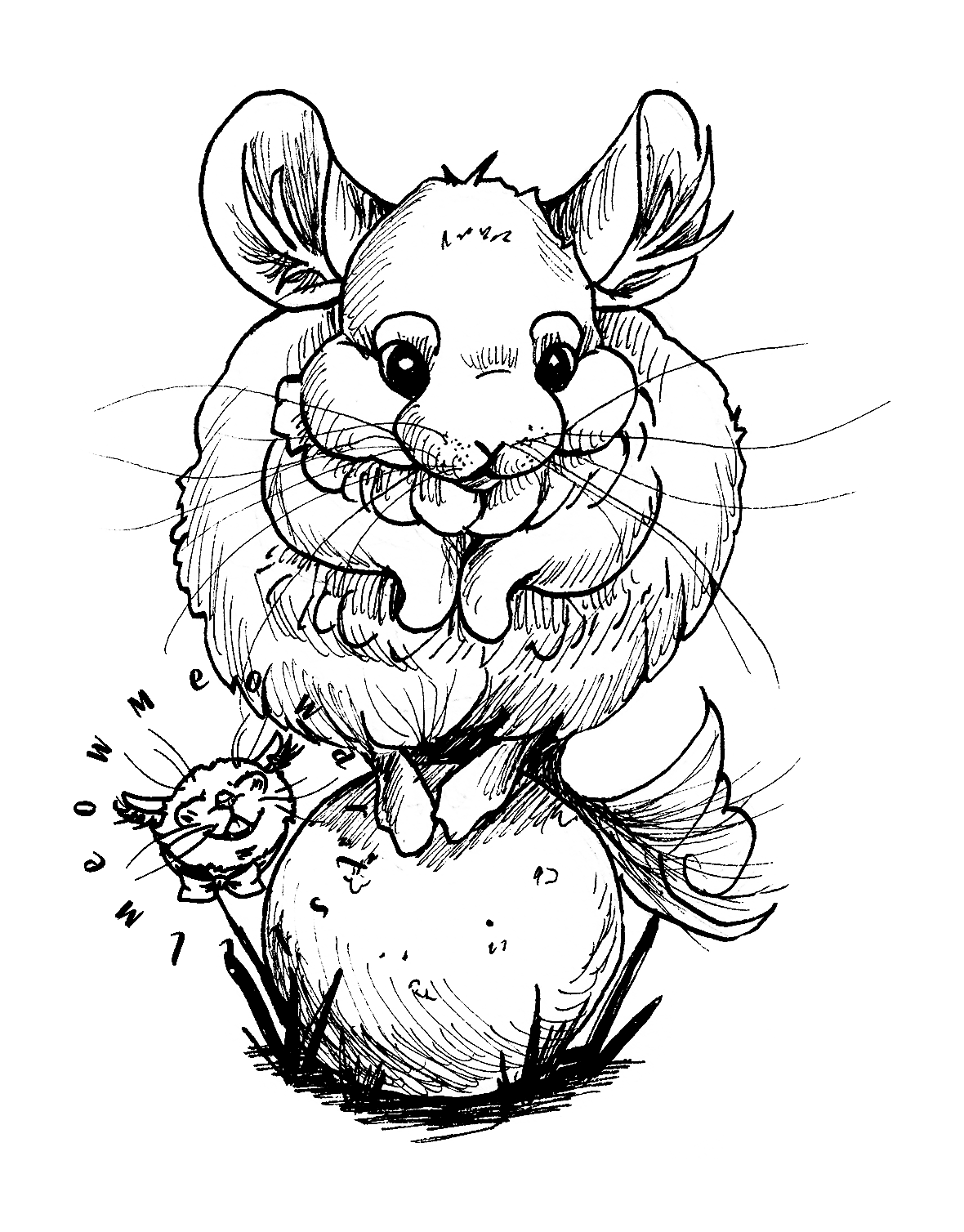 chinchillaonball-png-WATERMARK.png