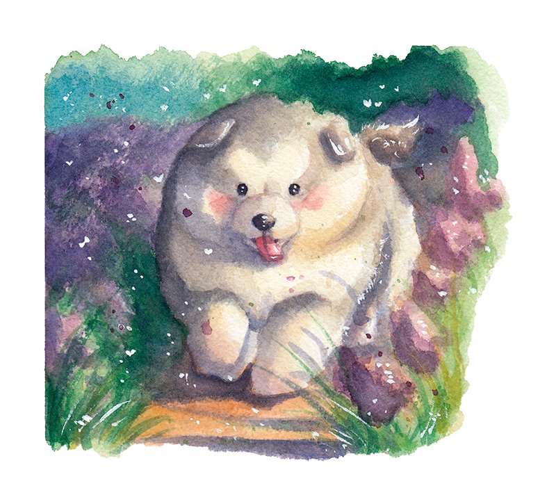 bigfloofalaskanmalamutepupper-jpg.jpg
