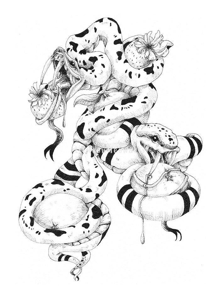 fruitsnakesstrawberry&oranges-jpg-medwatermark.jpg