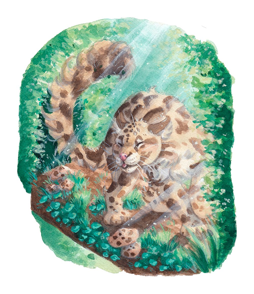 cloudedleopard-jpg.jpg