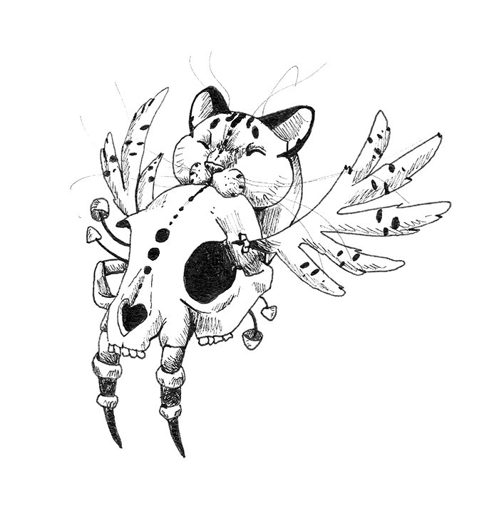 catandskullbitecool2-jpg.jpg