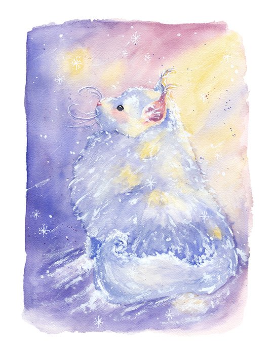 whitekittyinsnow-jpg-medbaggrund.jpg